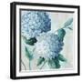 Blue Hydrangea Blooms II-Alex Black-Framed Art Print