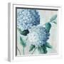 Blue Hydrangea Blooms II-Alex Black-Framed Art Print