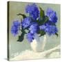 Blue Hydrangea Bouquet-Dale Payson-Stretched Canvas