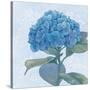 Blue Hydrangea IV-Beth Grove-Stretched Canvas