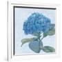 Blue Hydrangea IV-Beth Grove-Framed Art Print