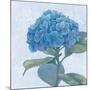 Blue Hydrangea IV-Beth Grove-Mounted Art Print