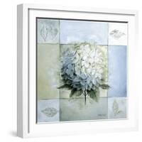 Blue Hydrangea Study 1-Lisa Audit-Framed Giclee Print