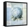 Blue Hydrangea Study 2-Lisa Audit-Framed Stretched Canvas