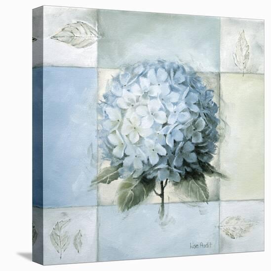 Blue Hydrangea Study 2-Lisa Audit-Stretched Canvas