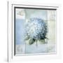 Blue Hydrangea Study 2-Lisa Audit-Framed Giclee Print