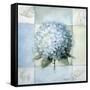 Blue Hydrangea Study 2-Lisa Audit-Framed Stretched Canvas