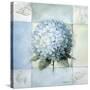 Blue Hydrangea Study 2-Lisa Audit-Stretched Canvas