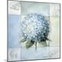 Blue Hydrangea Study 2-Lisa Audit-Mounted Giclee Print