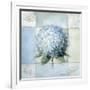 Blue Hydrangea Study 2-Lisa Audit-Framed Giclee Print