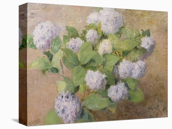 Blue Hydrangeas-Henri Lerolle-Stretched Canvas