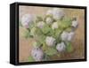 Blue Hydrangeas-Henri Lerolle-Framed Stretched Canvas