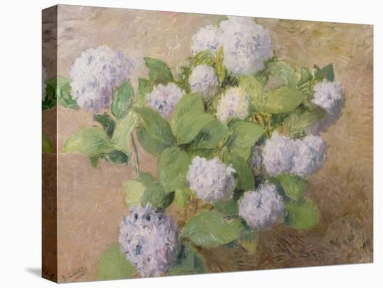 Blue Hydrangeas-Henri Lerolle-Stretched Canvas