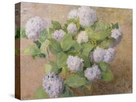 Blue Hydrangeas-Henri Lerolle-Stretched Canvas