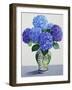 Blue Hydrangeas-Christopher Ryland-Framed Giclee Print