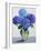 Blue Hydrangeas-Christopher Ryland-Framed Giclee Print