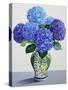 Blue Hydrangeas-Christopher Ryland-Stretched Canvas