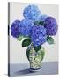 Blue Hydrangeas-Christopher Ryland-Stretched Canvas