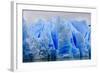 Blue Ice, Grey Glacier, Torres Del Paine National Park, Patagonia, Chile, South America-Eleanor-Framed Photographic Print