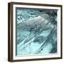 Blue Ice II-Monika Burkhart-Framed Photographic Print