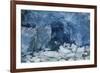 Blue Ice, Perito Moreno Glacier, Los Glaciares National Park, Argentina.-Adam Jones-Framed Premium Photographic Print