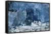 Blue Ice, Perito Moreno Glacier, Los Glaciares National Park, Argentina.-Adam Jones-Framed Stretched Canvas