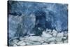 Blue Ice, Perito Moreno Glacier, Los Glaciares National Park, Argentina.-Adam Jones-Stretched Canvas