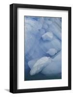 Blue Ice, Perito Moreno Glacier, Los Glaciares National Park, Argentina.-Adam Jones-Framed Photographic Print