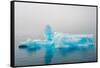 Blue iceberg in the fjord of Narsarsuaq, Greenland-Keren Su-Framed Stretched Canvas