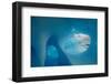 Blue iceberg in Wilhelmina Bay, Gerlache Strait, Antarctica-Enrique Lopez-Tapia-Framed Photographic Print