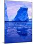 Blue Icebergs, Antarctica-Joe Restuccia III-Mounted Photographic Print