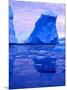 Blue Icebergs, Antarctica-Joe Restuccia III-Mounted Photographic Print