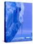 Blue Icebergs, Antarctica-Joe Restuccia III-Stretched Canvas