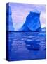 Blue Icebergs, Antarctica-Joe Restuccia III-Stretched Canvas