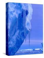 Blue Icebergs, Antarctica-Joe Restuccia III-Stretched Canvas