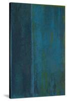 Blue In Green-Jeannie Sellmer-Stretched Canvas