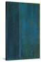 Blue In Green-Jeannie Sellmer-Stretched Canvas