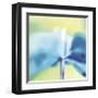 Blue Indigo-Jane Ann Butler-Framed Giclee Print