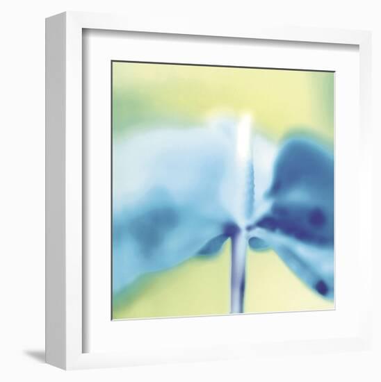 Blue Indigo-Jane Ann Butler-Framed Giclee Print