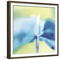 Blue Indigo-Jane Ann Butler-Framed Giclee Print