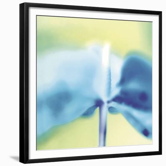 Blue Indigo-Jane Ann Butler-Framed Giclee Print