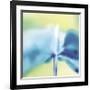 Blue Indigo-Jane Ann Butler-Framed Giclee Print