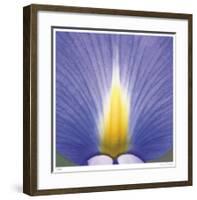 Blue Iris Abstract No 2-Shams Rasheed-Framed Giclee Print