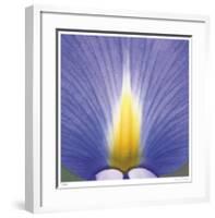 Blue Iris Abstract No 2-Shams Rasheed-Framed Giclee Print