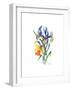 Blue Iris and Daffodil, 2002-Nell Hill-Framed Giclee Print