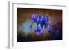 Blue Iris Blooms-Jai Johnson-Framed Giclee Print