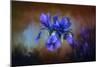 Blue Iris Blooms-Jai Johnson-Mounted Giclee Print