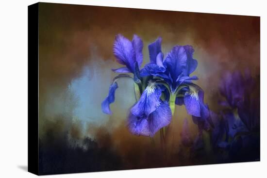 Blue Iris Blooms-Jai Johnson-Stretched Canvas