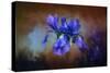 Blue Iris Blooms-Jai Johnson-Stretched Canvas