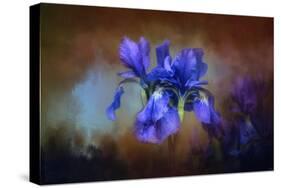 Blue Iris Blooms-Jai Johnson-Stretched Canvas